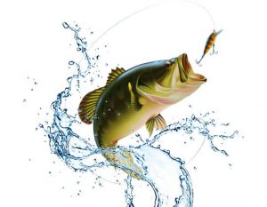捕魚機